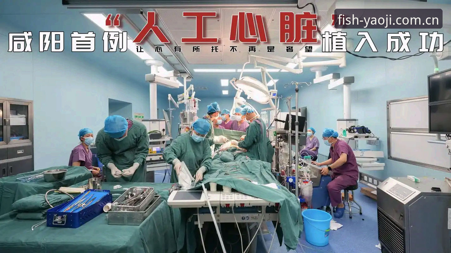 心跳停摆vs生命重启：埃里克森与姚记捕鱼2026新版下载的相似命题